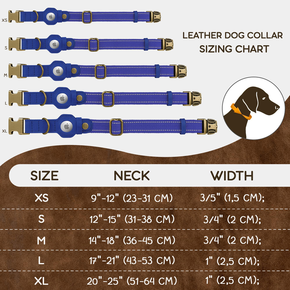 Collar Budkas en azul para estilo y seguridad durante las caminatas.