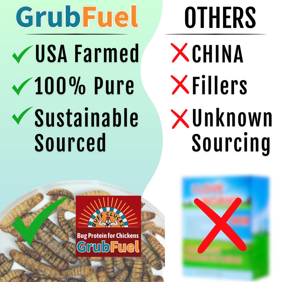 Buff Clucks GrubFuel, proteína y calcio para músculos y plumas sanas.