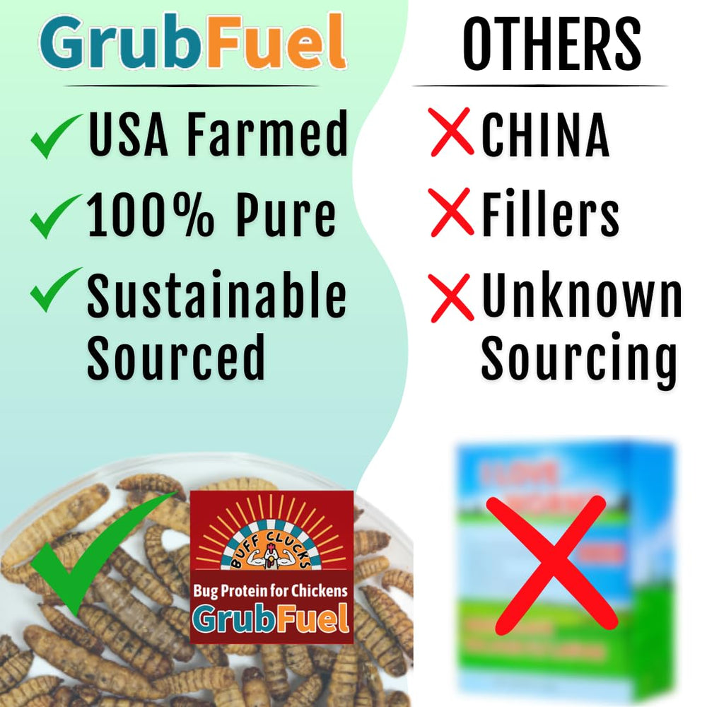 Buff Clucks GrubFuel, proteína y calcio para músculos y plumas sanas.
