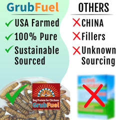 Buff Clucks GrubFuel, proteína y calcio para músculos y plumas sanas.