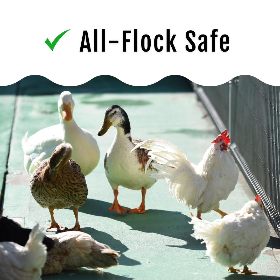 Buff Clucks GrubFuel, apoyo natural para la salud de las aves.