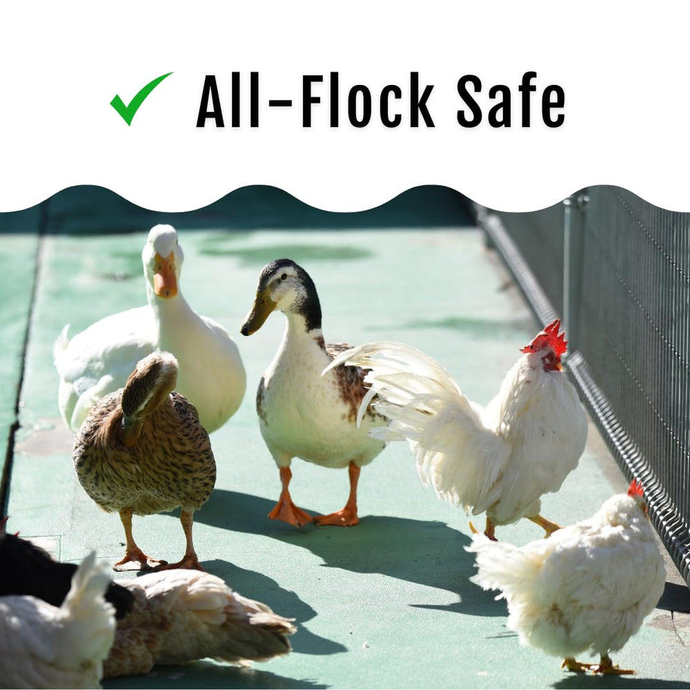 Buff Clucks GrubFuel, apoyo natural para la salud de las aves.