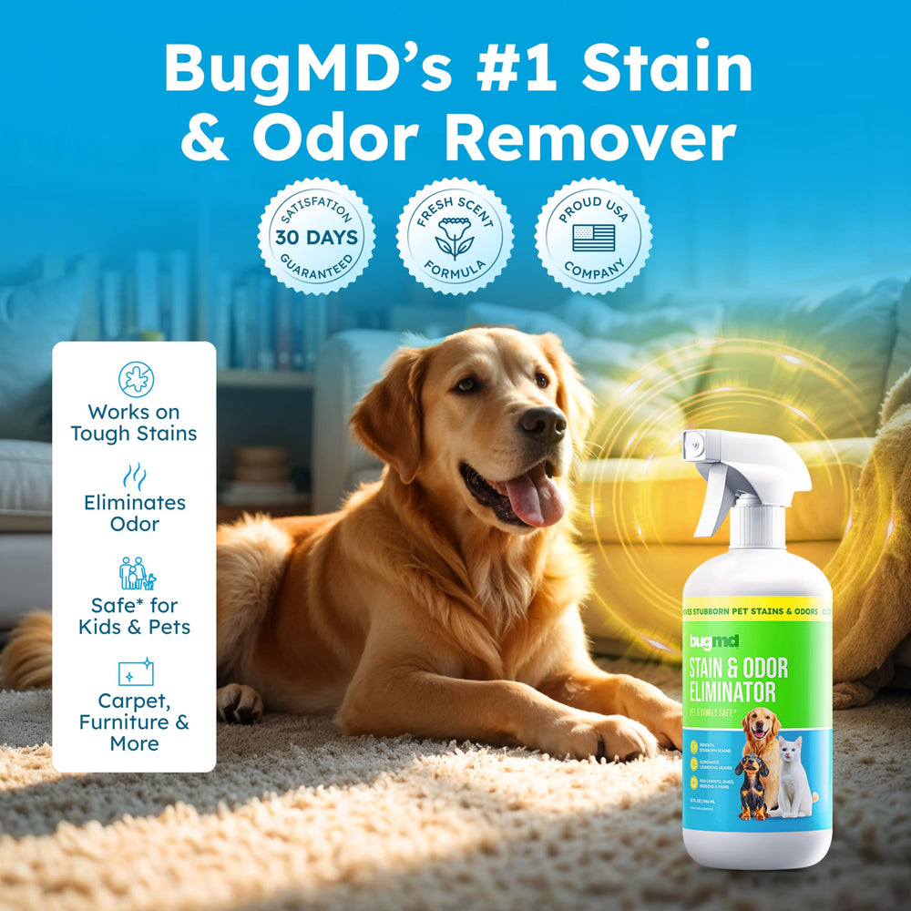 BugMD botella lista para usar, tratamiento rápido de manchas de mascotas.