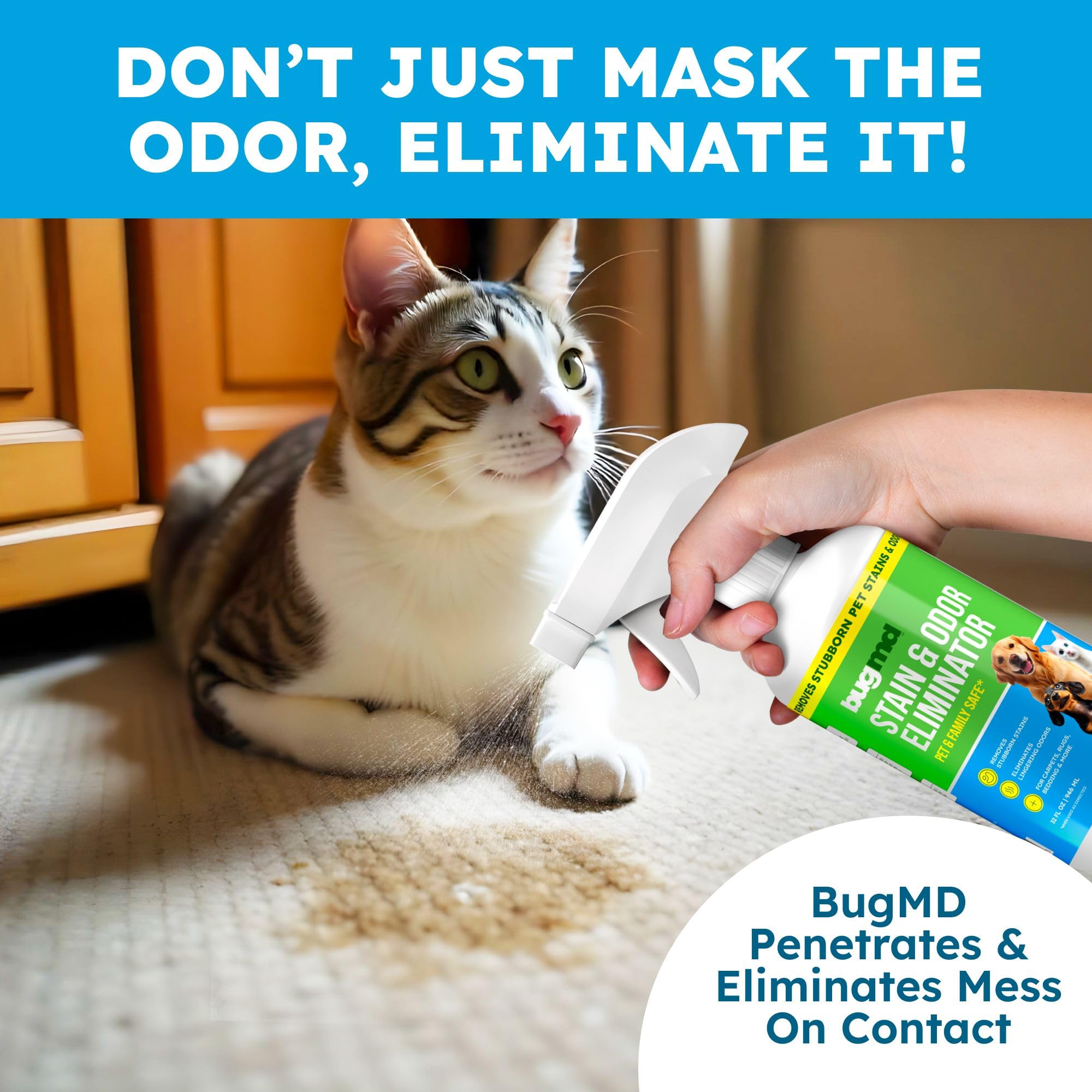 BugMD eliminador de olor enzimático actúa en la fuente de la orina.