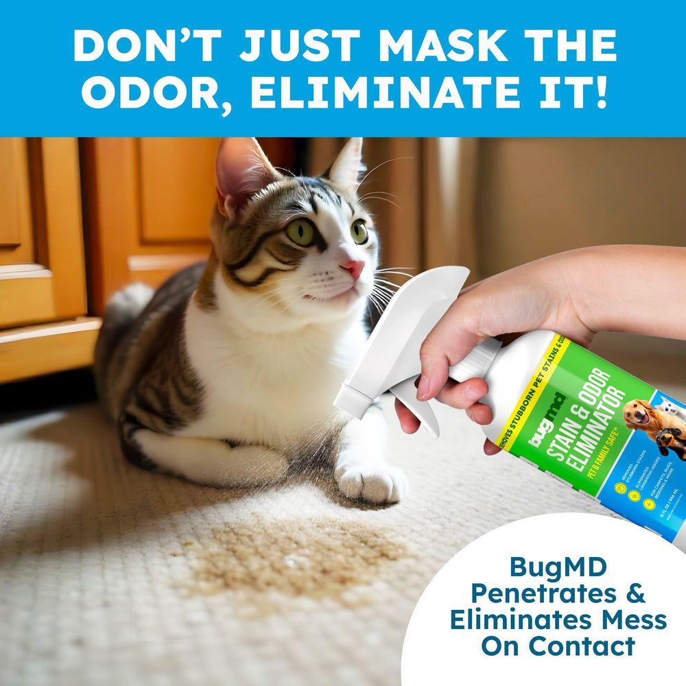 BugMD eliminador de olor enzimático actúa en la fuente de la orina.