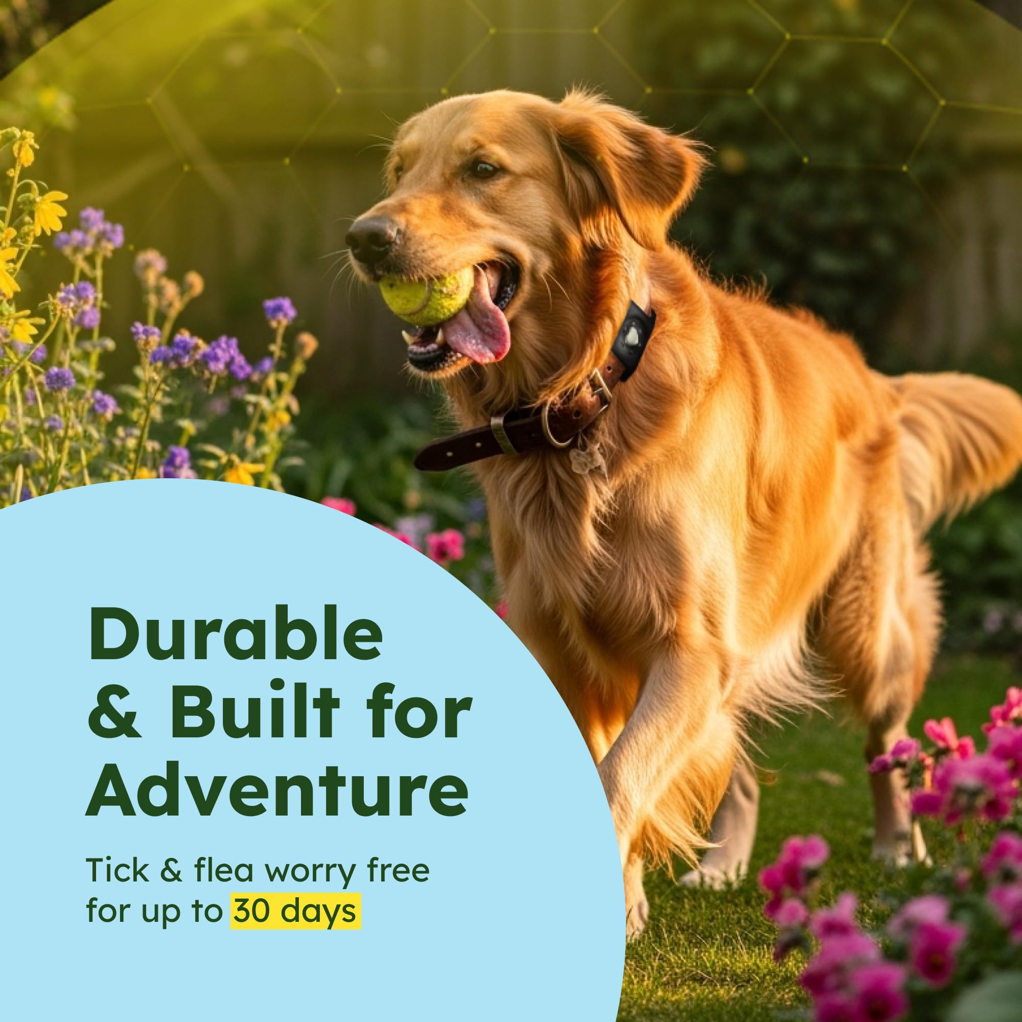 BugMD Paw Guardian pack tres colgantes para perros, versatilidad diaria.