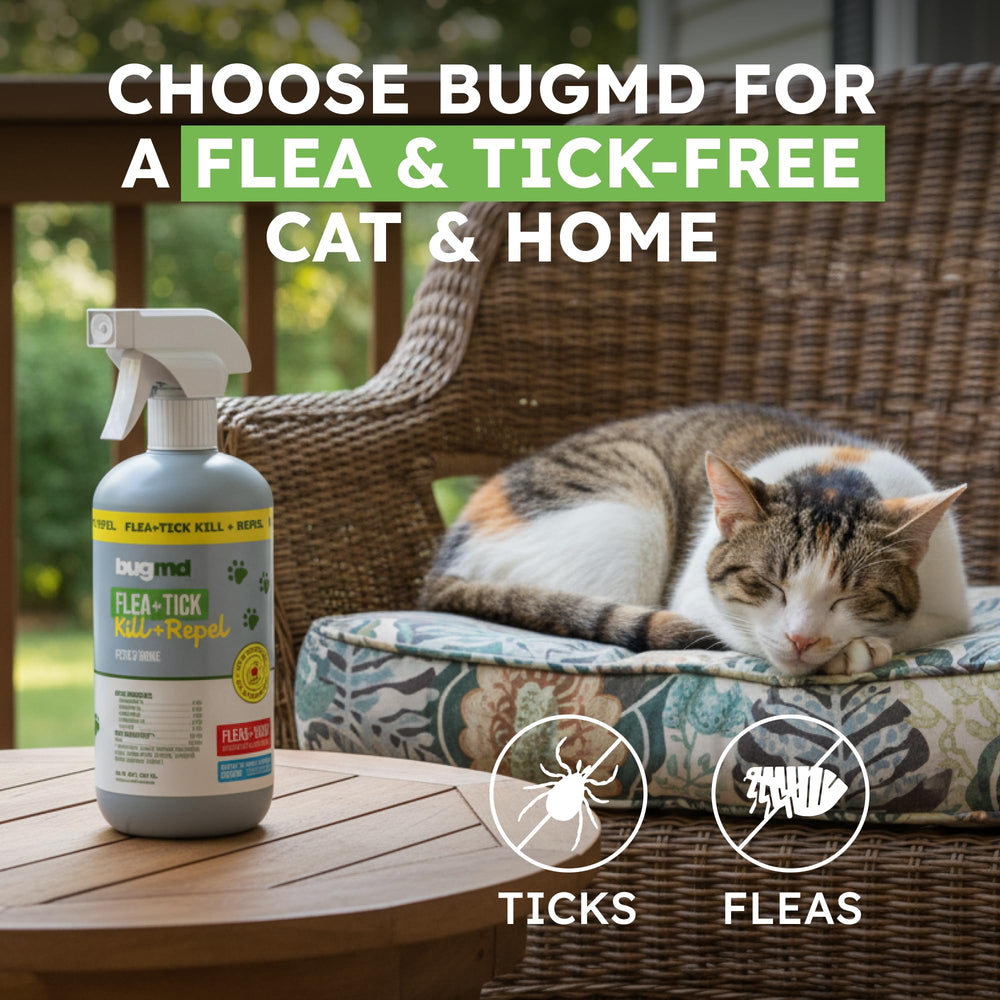 BugMD boquilla ajustable para pulverización precisa y controlada.