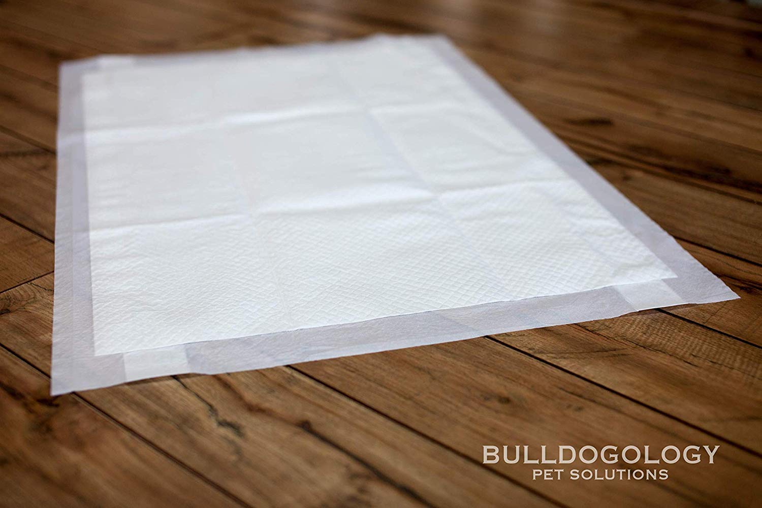Bulldogology almohadillas con control de olor para casa limpia