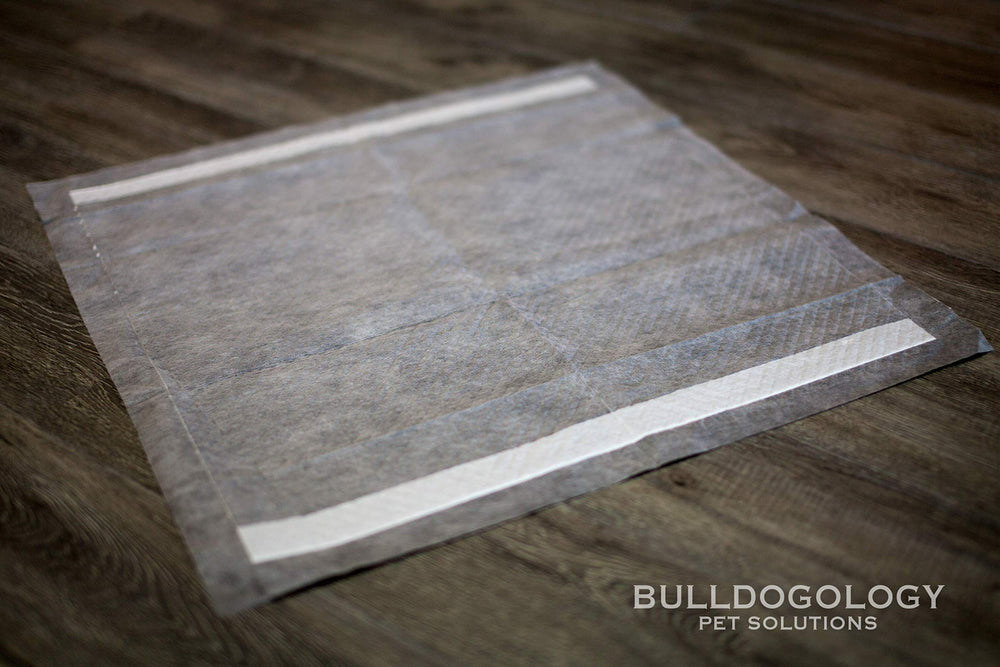 Bulldogology pad de 6 capas para mayor absorcion.