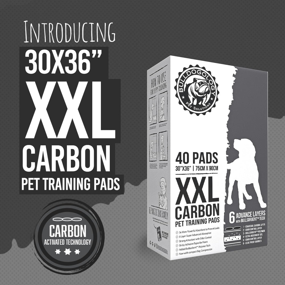 Pañales Bulldogology con tapas adhesivas XXL para evitar desorden en el suelo.