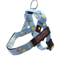 BullHug arnés ajustable para perro, paseos sin tirones.