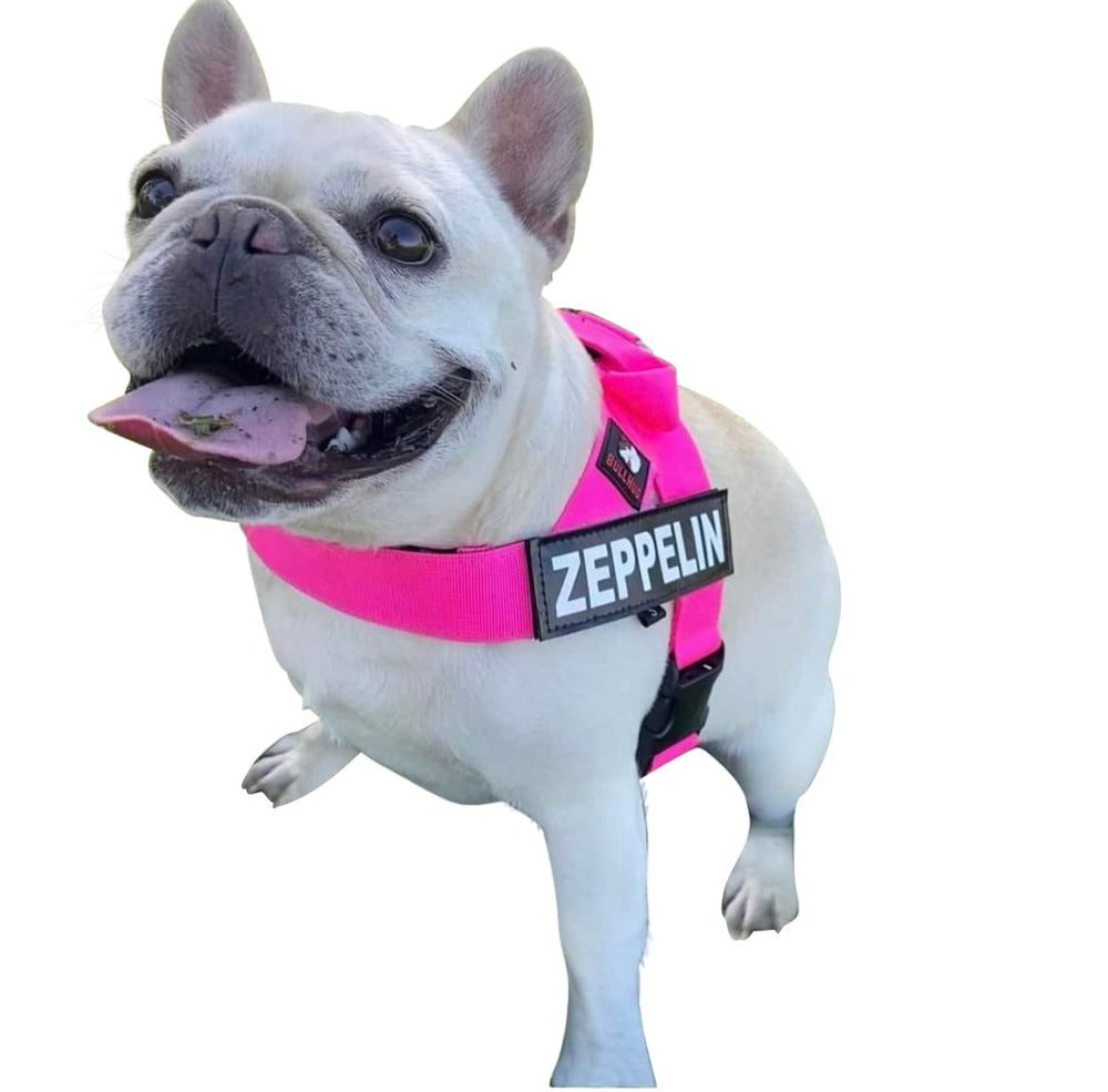 Ajuste con Velcro y banda inferior para un ajuste personalizado.