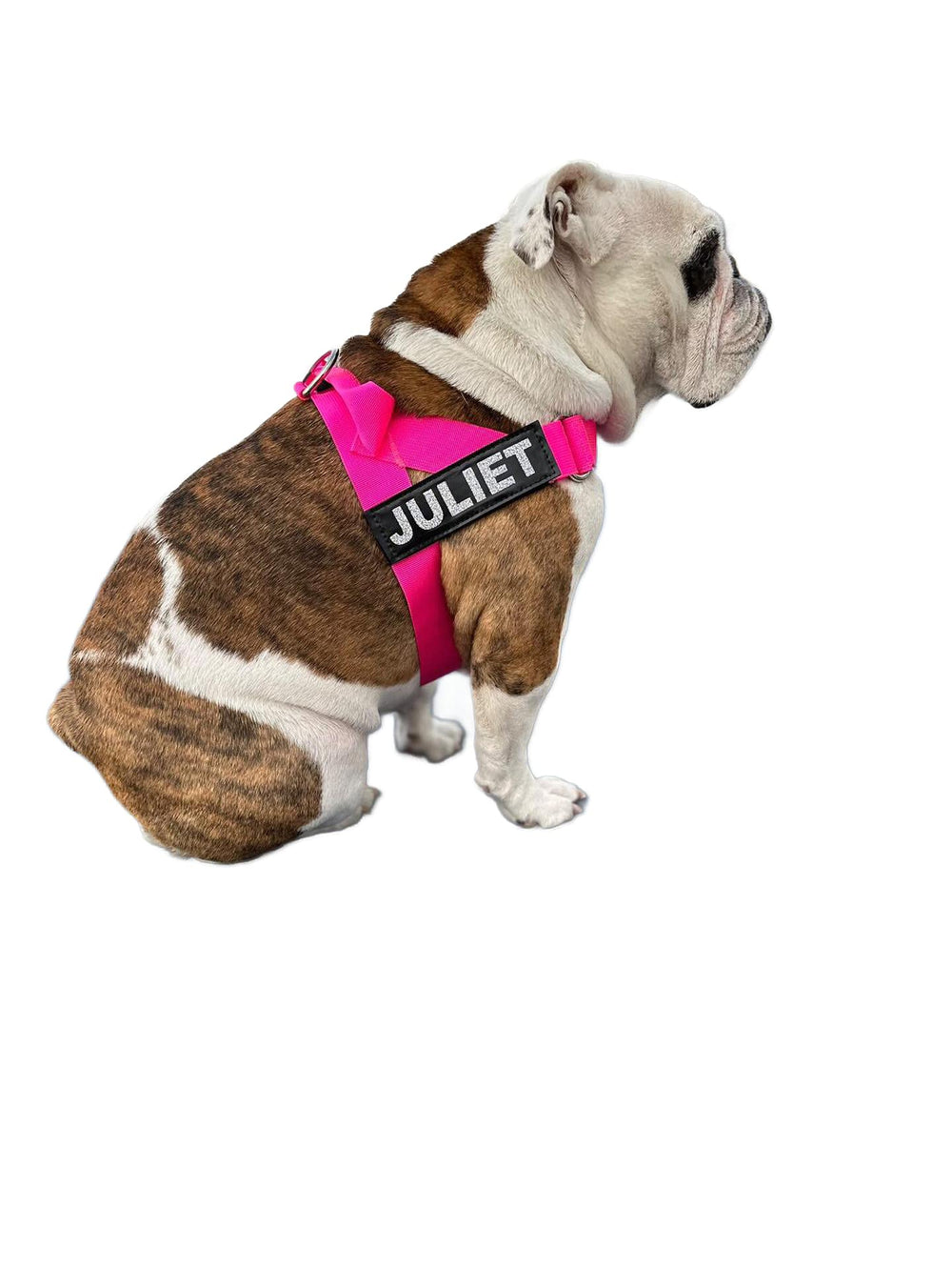 BullHug paseos urbanos: ideal para caminatas con perros grandes