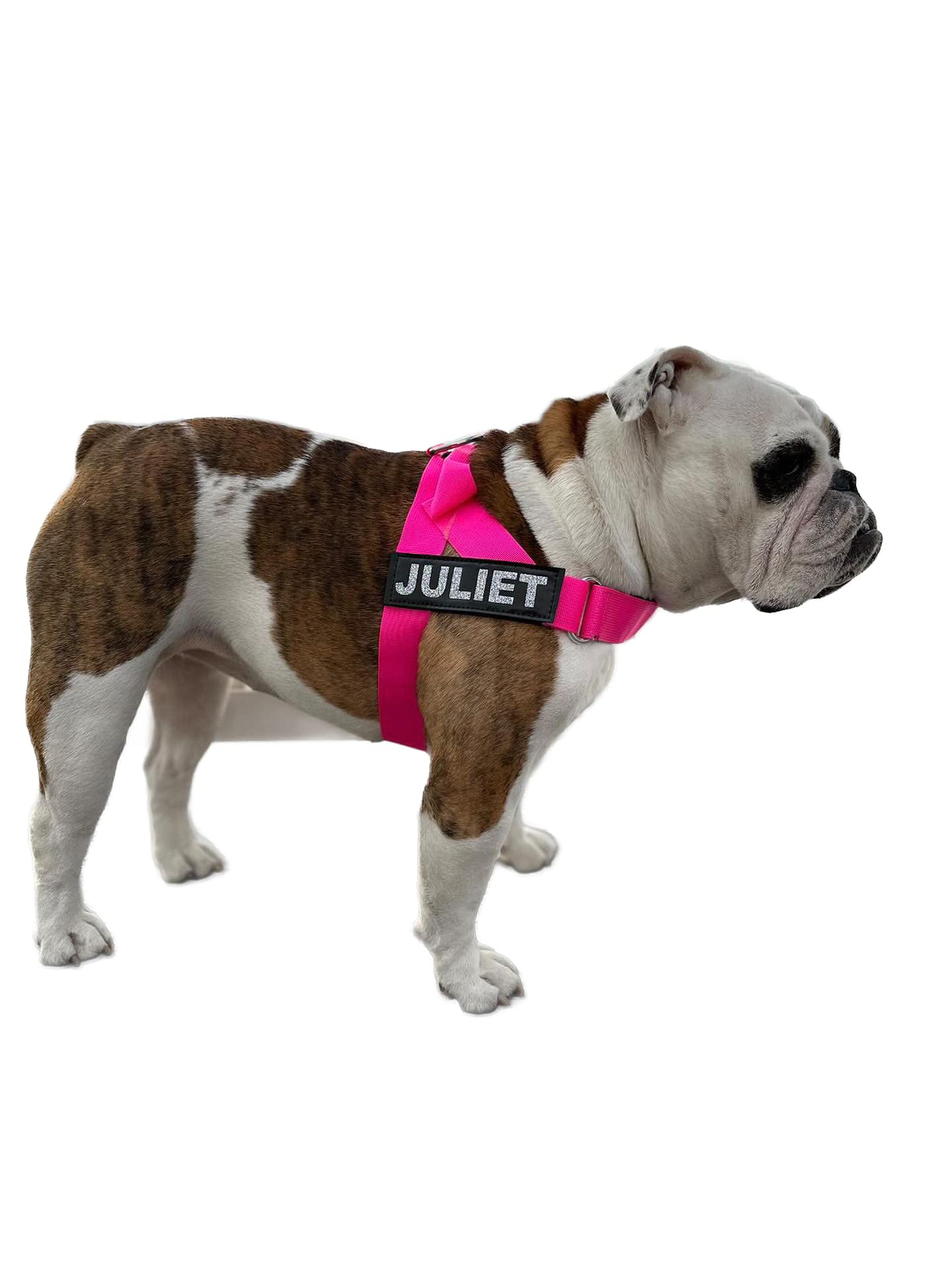 Parche desmontable BullHug para personalizar con nombre.