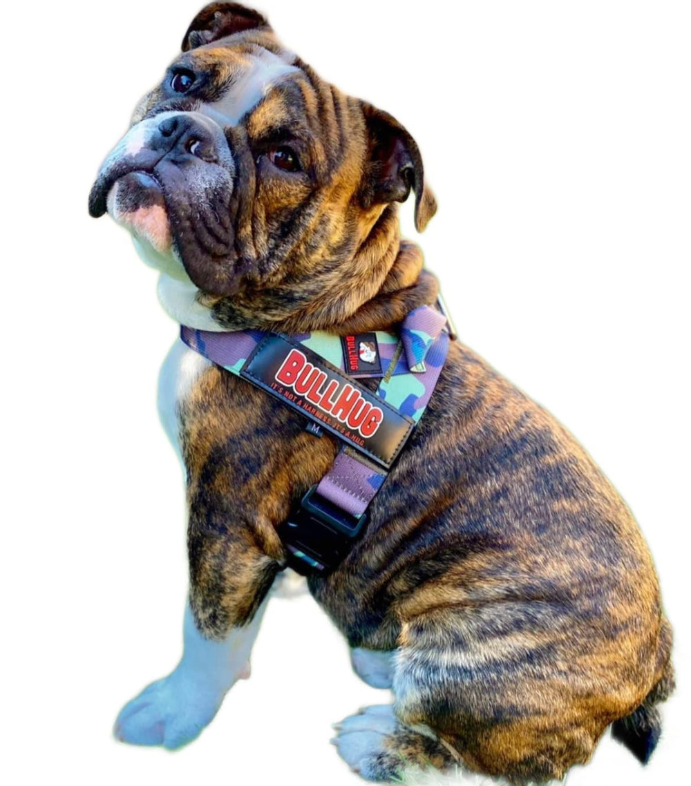 BullHug arnés para paseos diarios con sujeción estable.