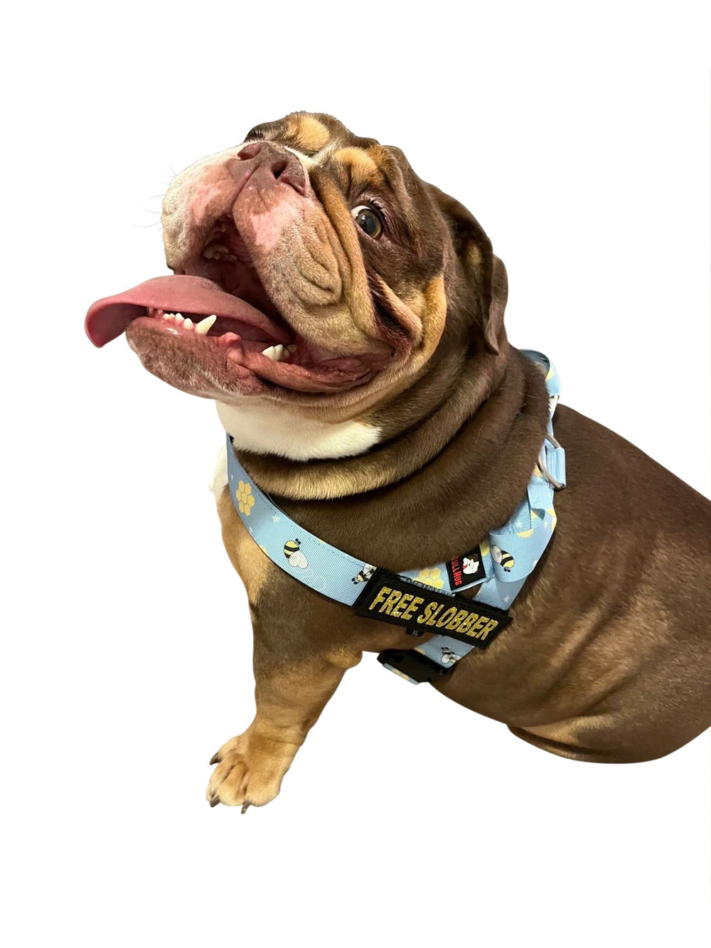 Arnés BullHug para bulldog francés en caminatas