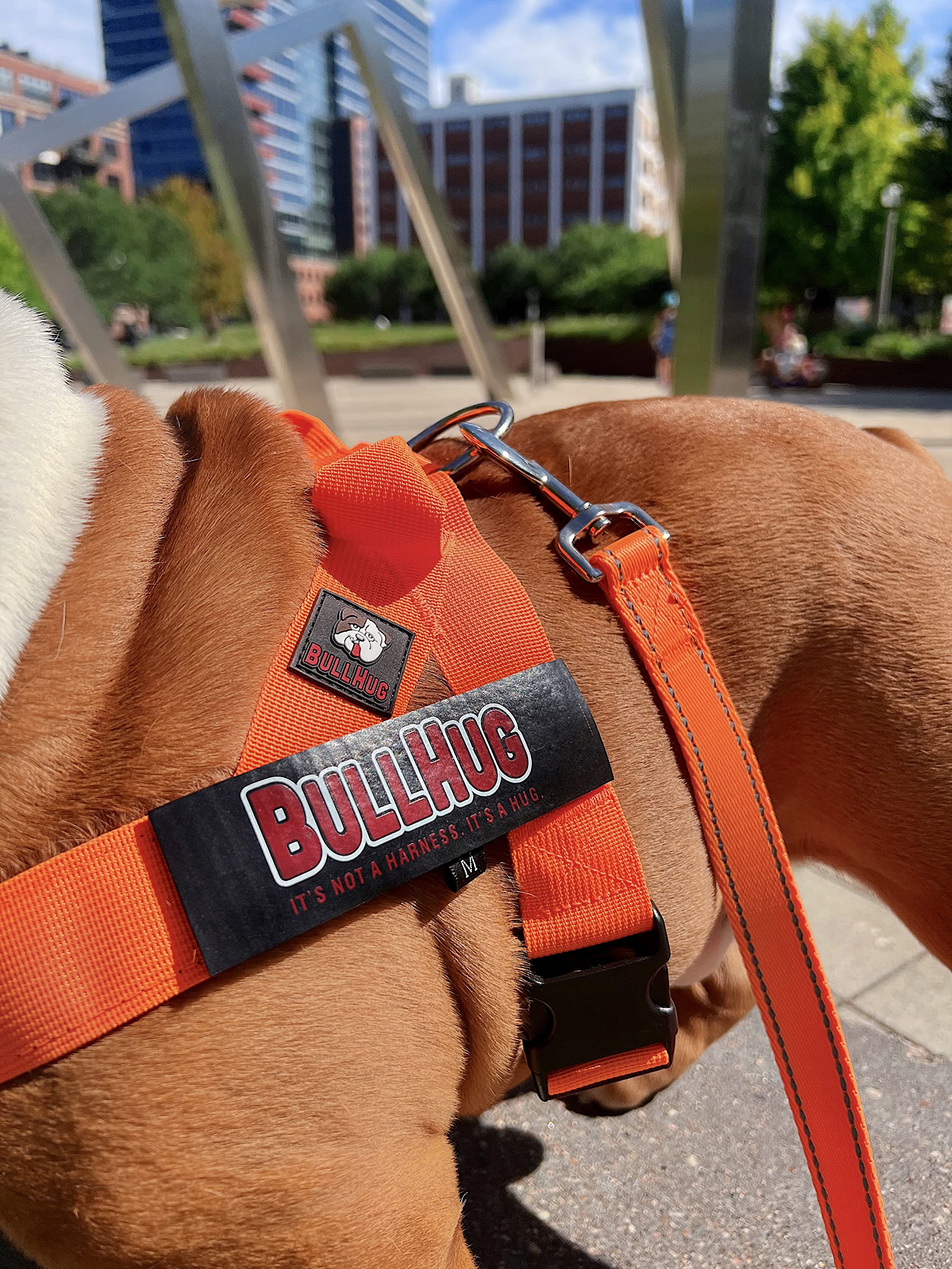 BullHug arnés perro diseño ergonómico en la espalda