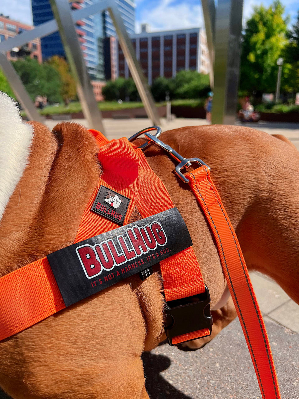 BullHug arnés perro diseño ergonómico en la espalda