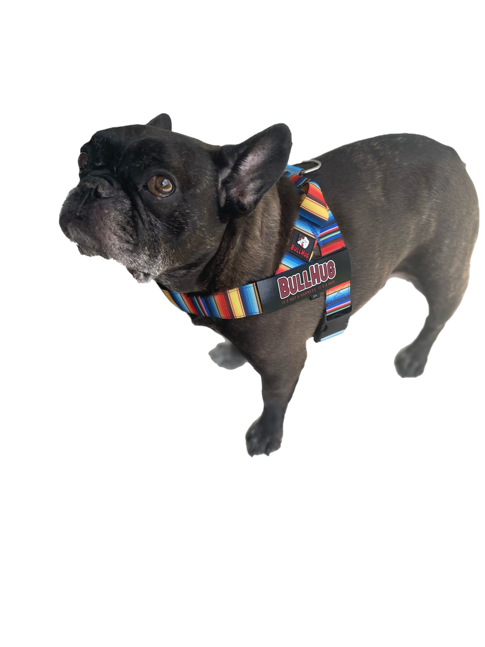 BullHug arnés con parche desmontable para personalización.