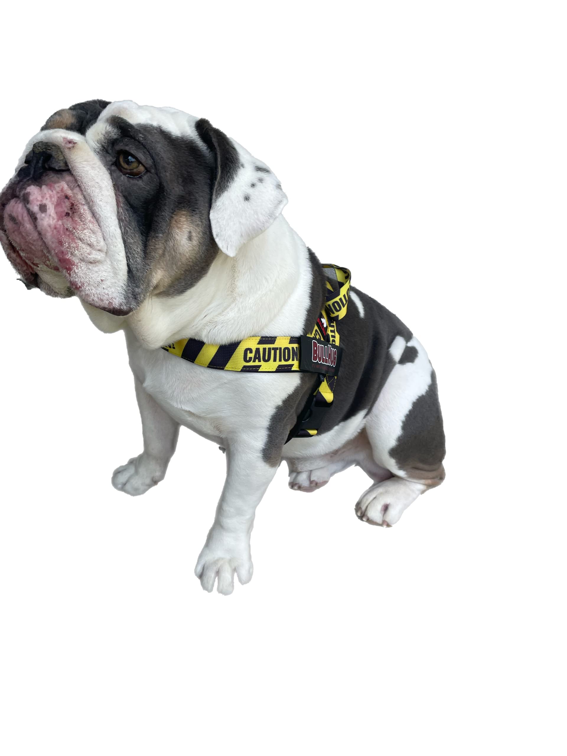 Diseño específico para bulldogs con ajuste cómodo en pecho ancho