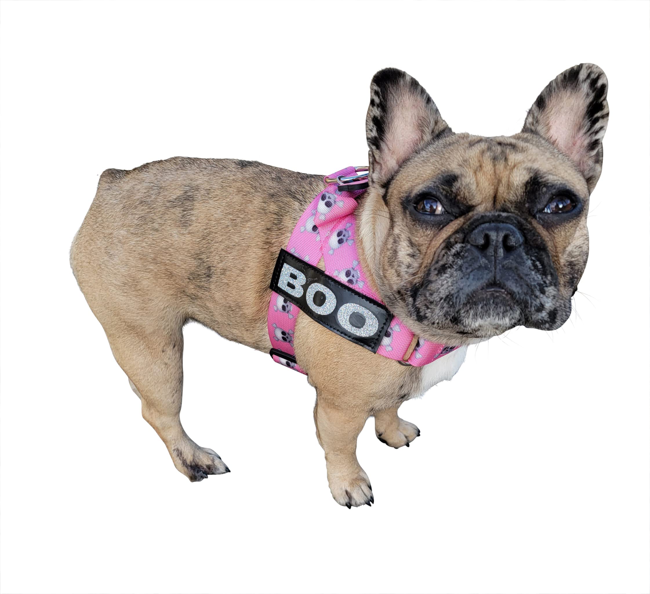 BullHug uso diario para paseos en perro rosa cráneo