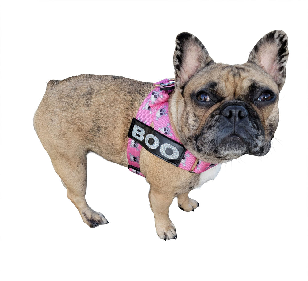 BullHug uso diario para paseos en perro rosa cráneo