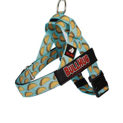 BullHug harness front view on a bulldog for comfortable control.