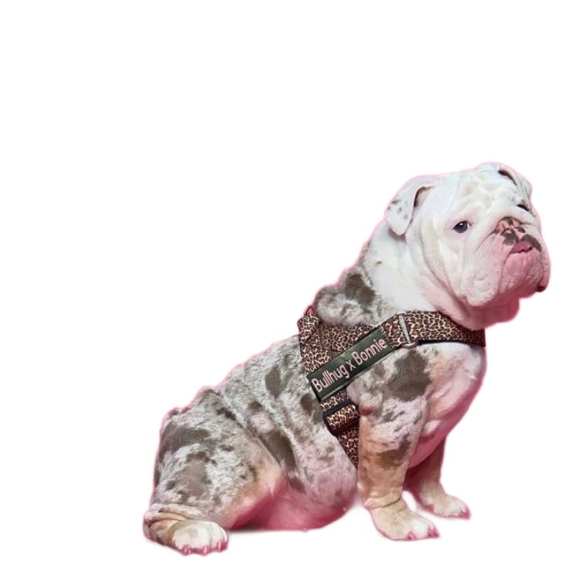BullHug arnés leopard parche velcro desmontable para personalizar.