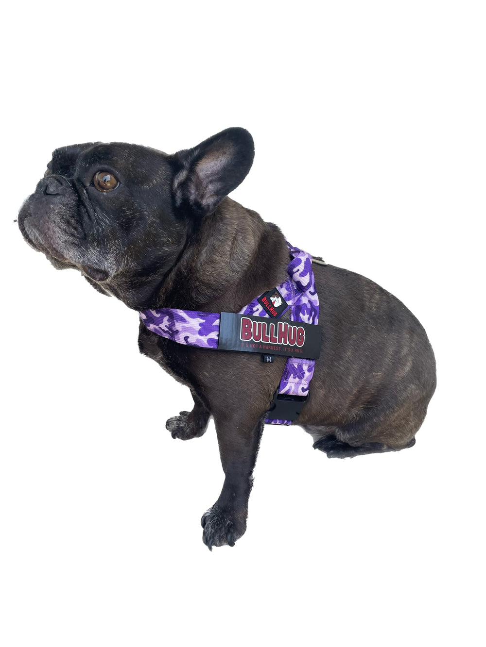 BullHug material duradero y seguro para mascotas