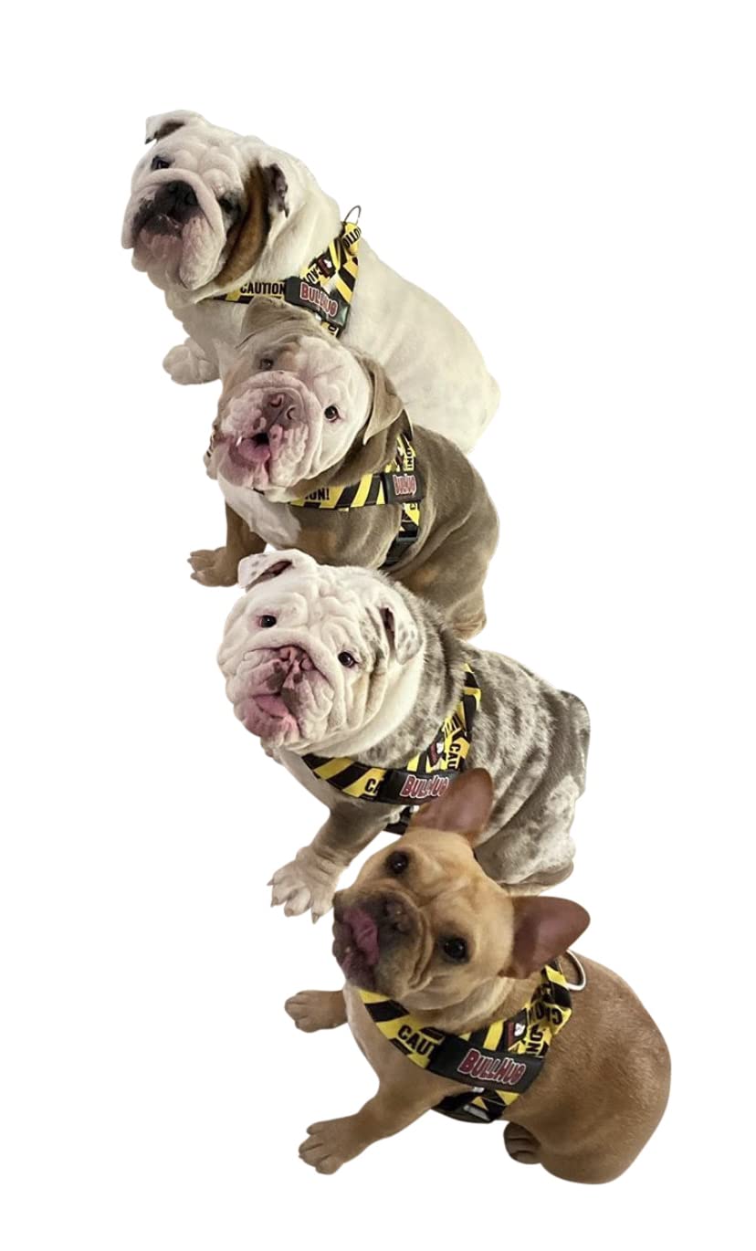 BullHug parche Velcro extraíble para personalización