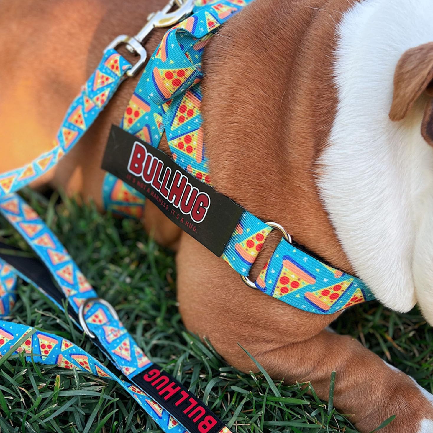 BullHug ideal para paseos diarios de bulldog.