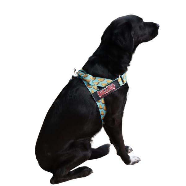 BullHug removable patch option for personalized style on the harness.