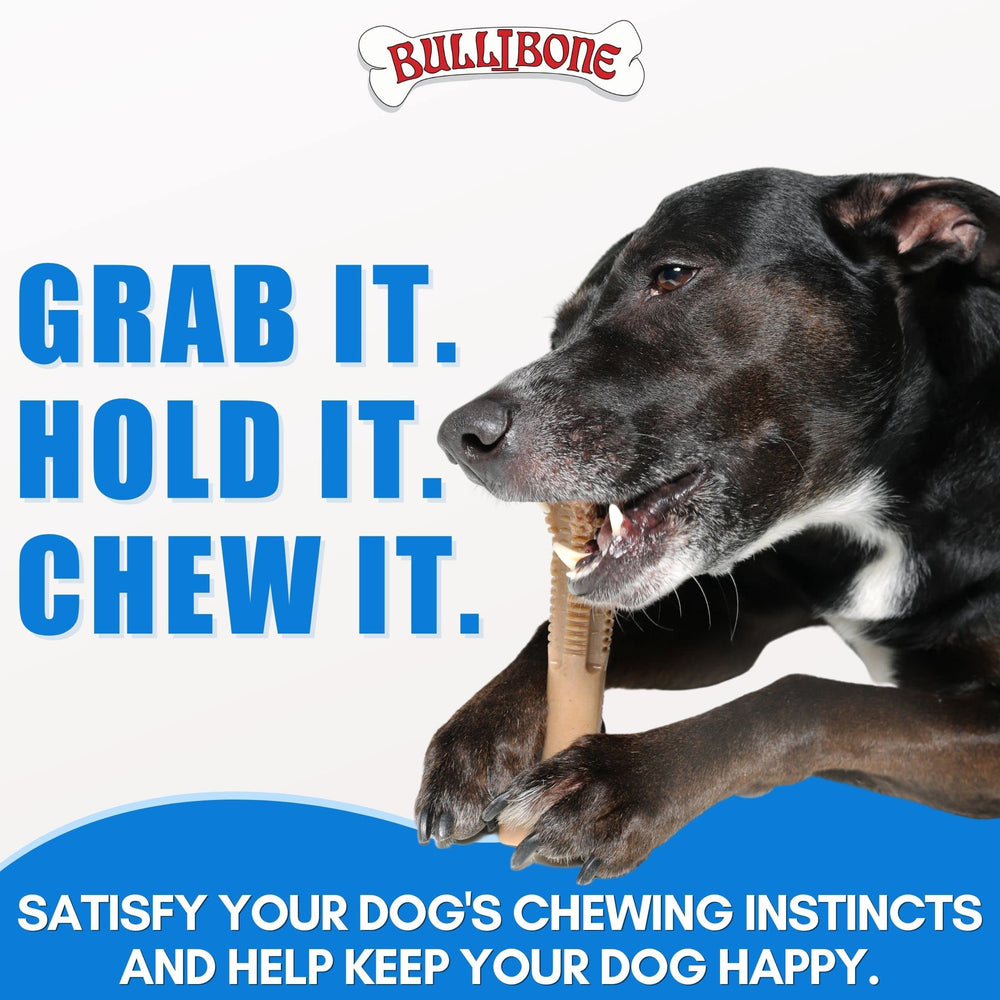 Bullibone: cuidado-bucal-diario que complementa la rutina en casa.