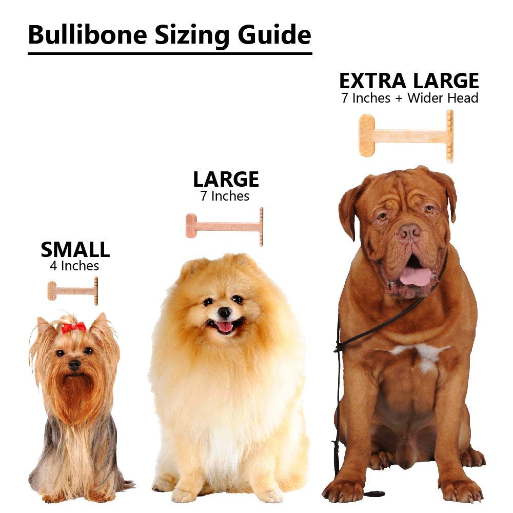 Bullibone, hueso indestructible para perros, alternativa segura frente a otros snacks.