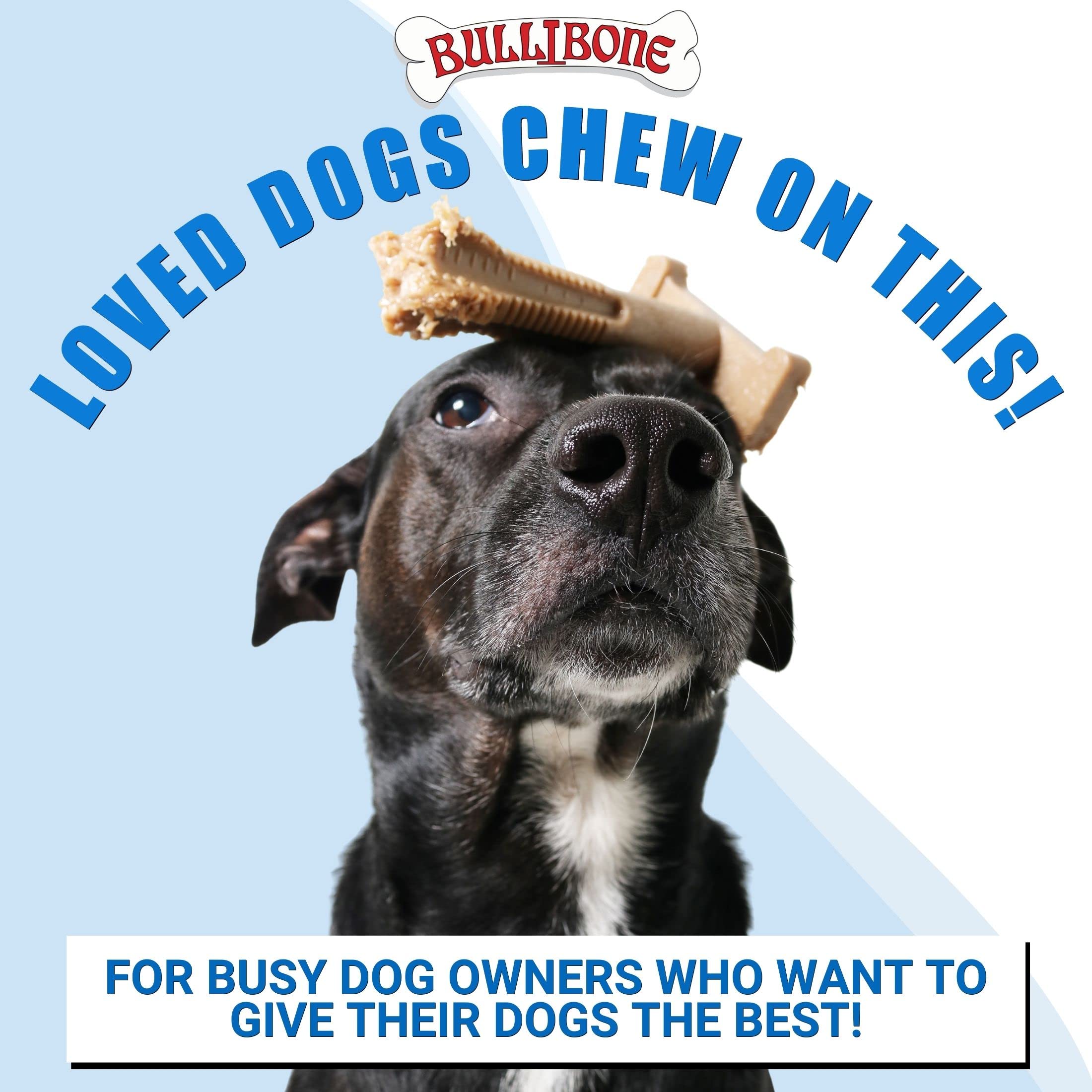 Bullibone Spin-a-Bone diseño dental, apoya hábitos de limpieza durante el juego