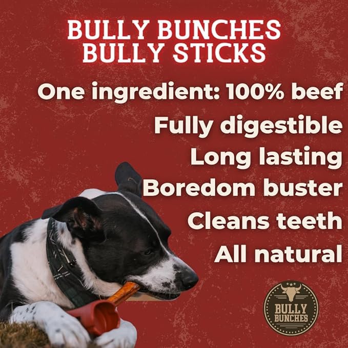 Bully Bunches 6 pulgadas palitos, para perros medianos, ideal para mantenerlos ocupados.