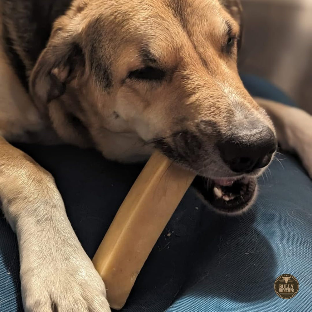 Bully Bunches Yak Himalayo para perros grandes, ideal en entrenamiento.