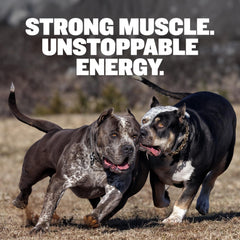 Bully Max alto en proteína para desarrollo muscular en perros