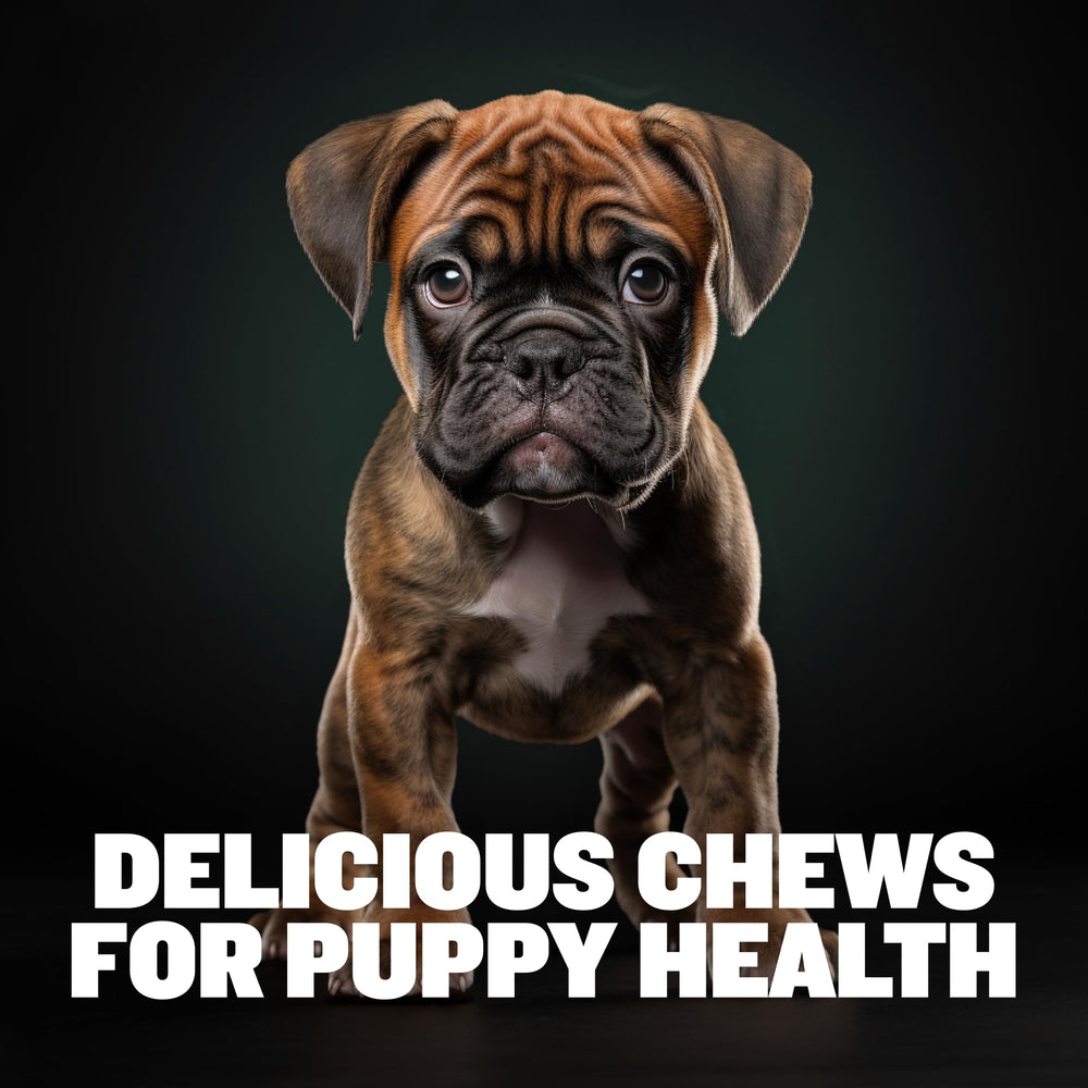 Bully Max calidad fabricado en EE. UU., ingredientes de origen global.