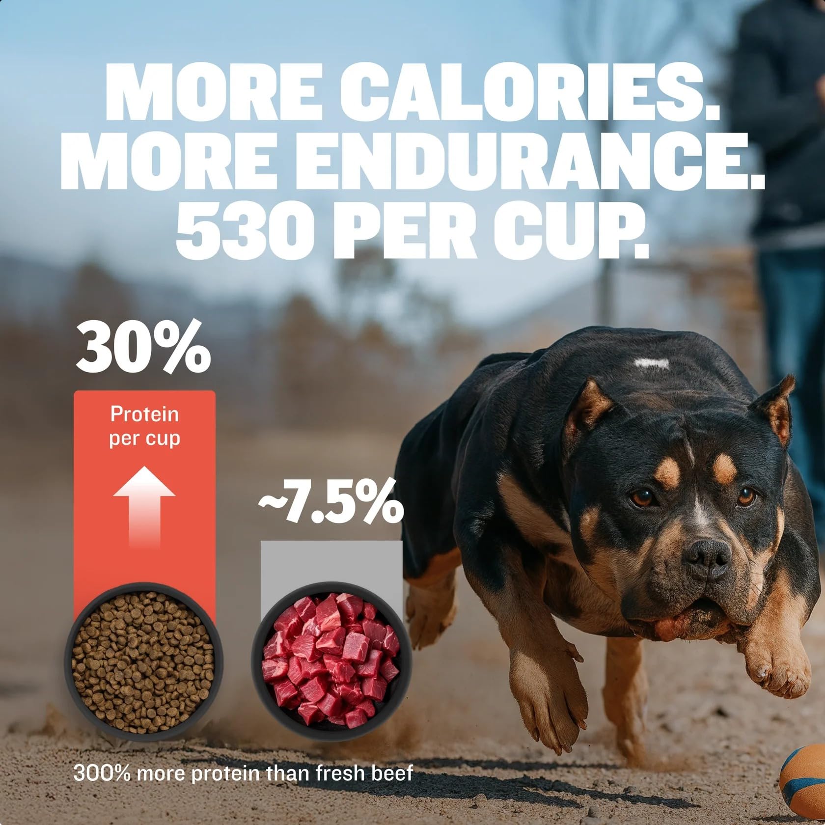 Bully Max calidad hecha en Estados Unidos con ingredientes globales
