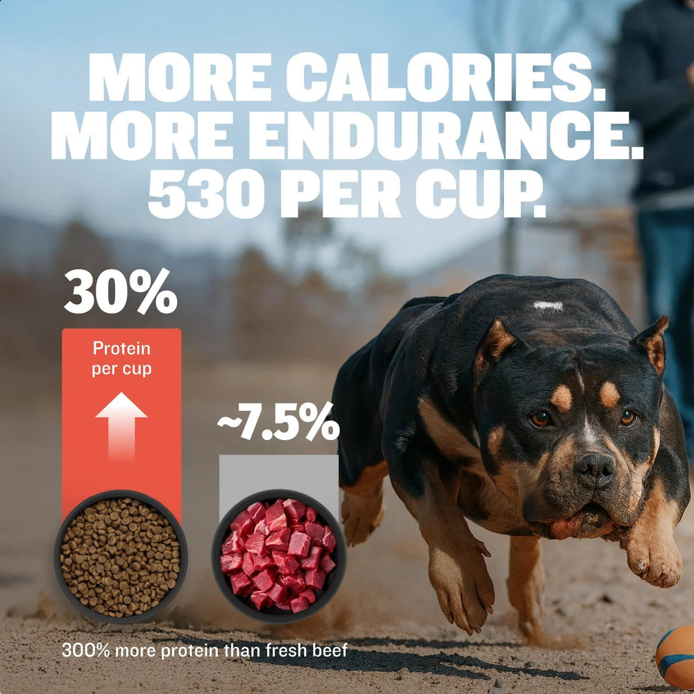 Bully Max calidad hecha en Estados Unidos con ingredientes globales