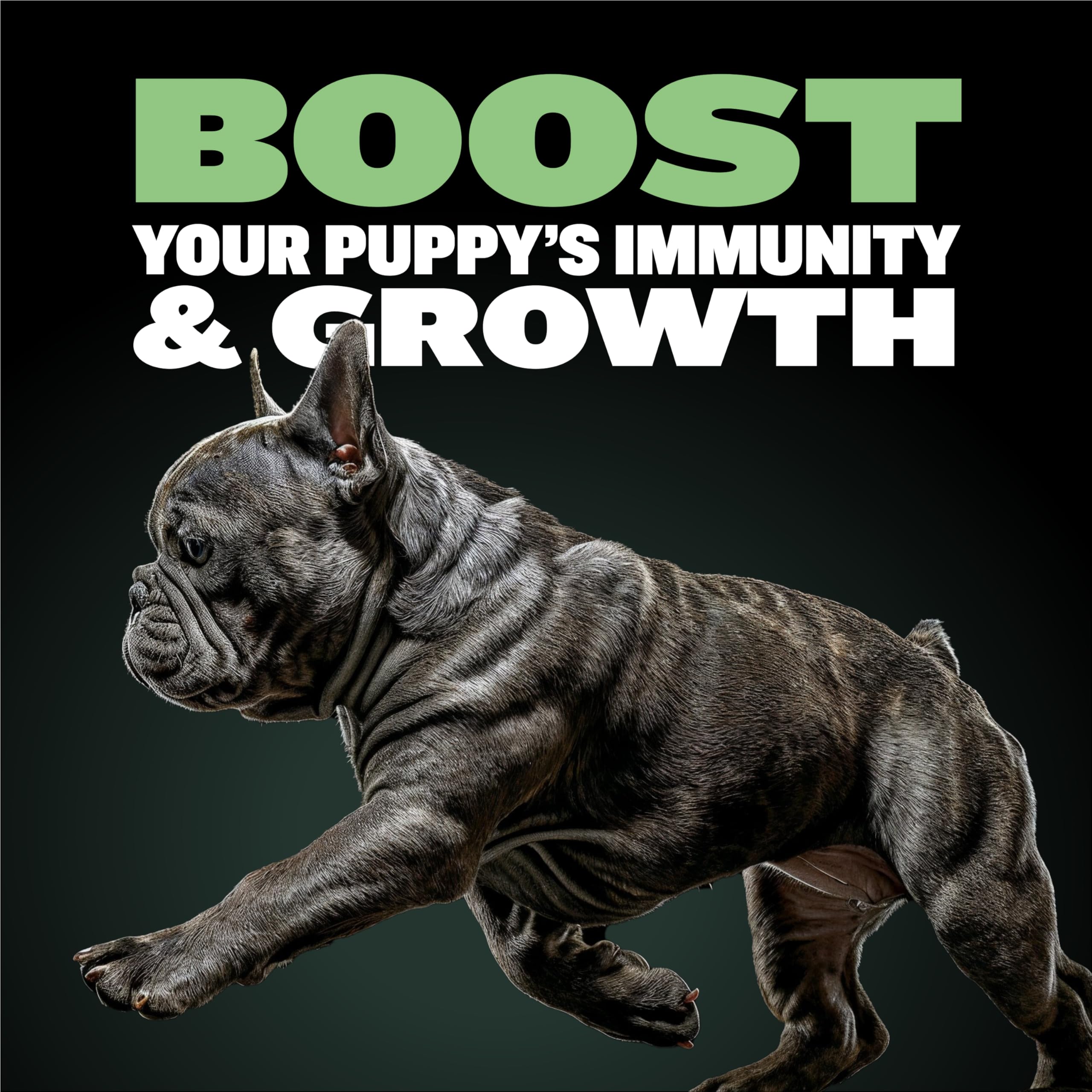 Bully Max Puppy Food 24/14 con arroz integral facilita una digestión suave.