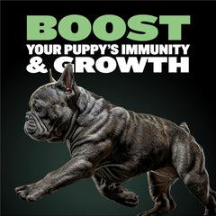 Bully Max Puppy Food 24/14 con arroz integral facilita una digestión suave.