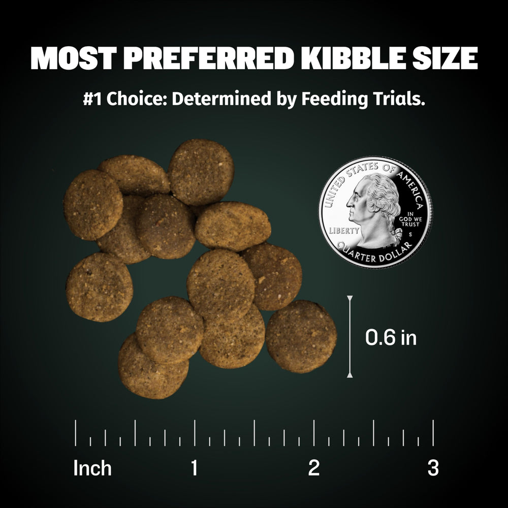 Bully Max Puppy Food 24/14 libre de maíz, soja y trigo.