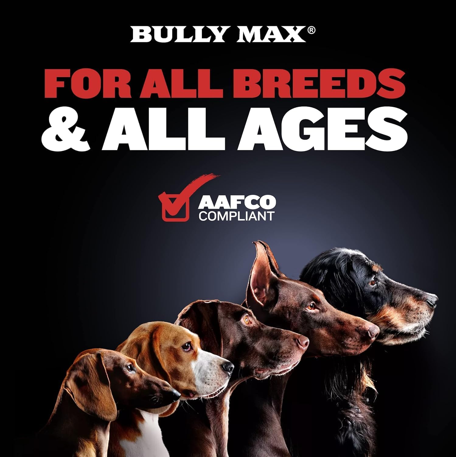 Bully Max tabletas sabor delicioso que los perros aceptan