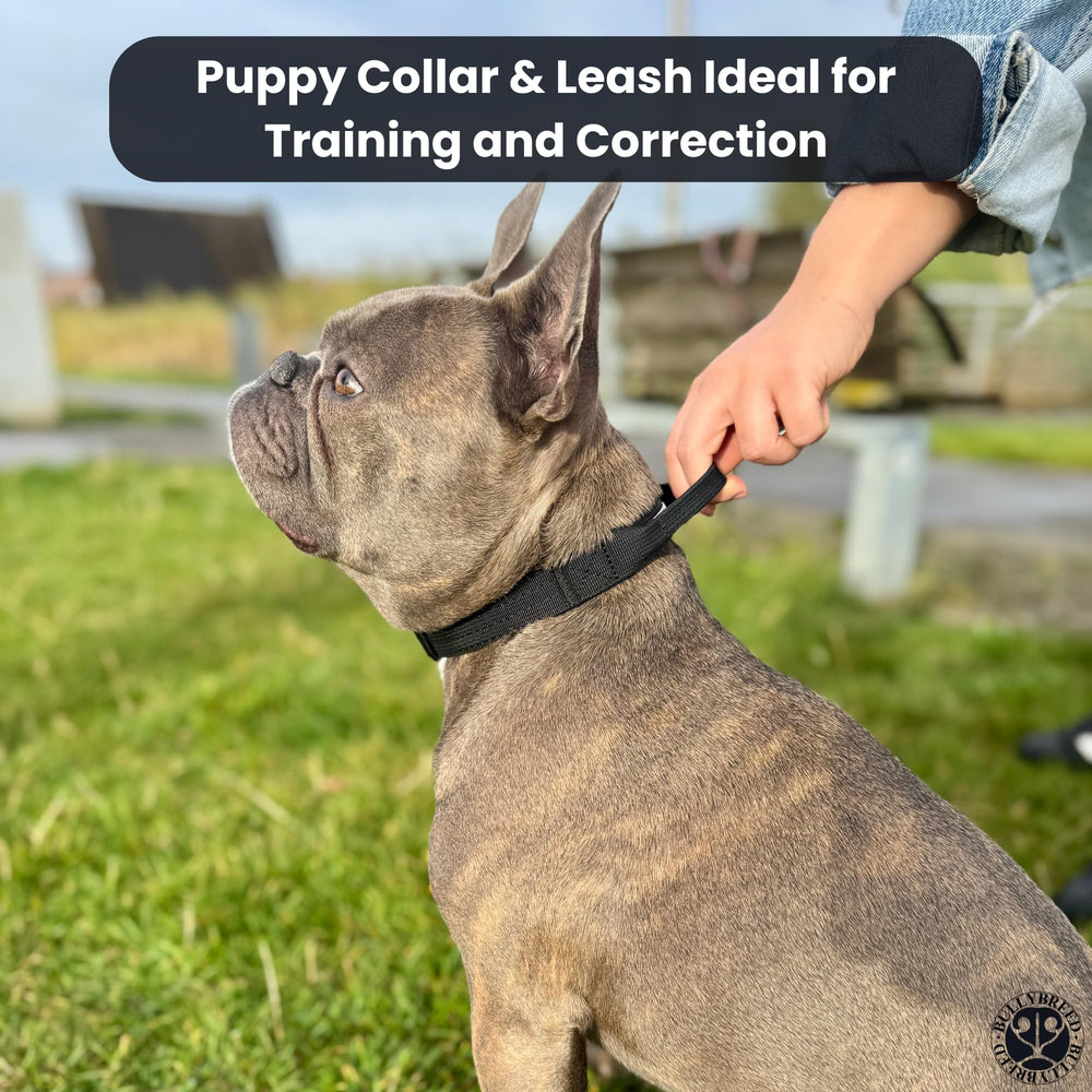 BULLYBREED collar táctico de nailon duradero para uso diario