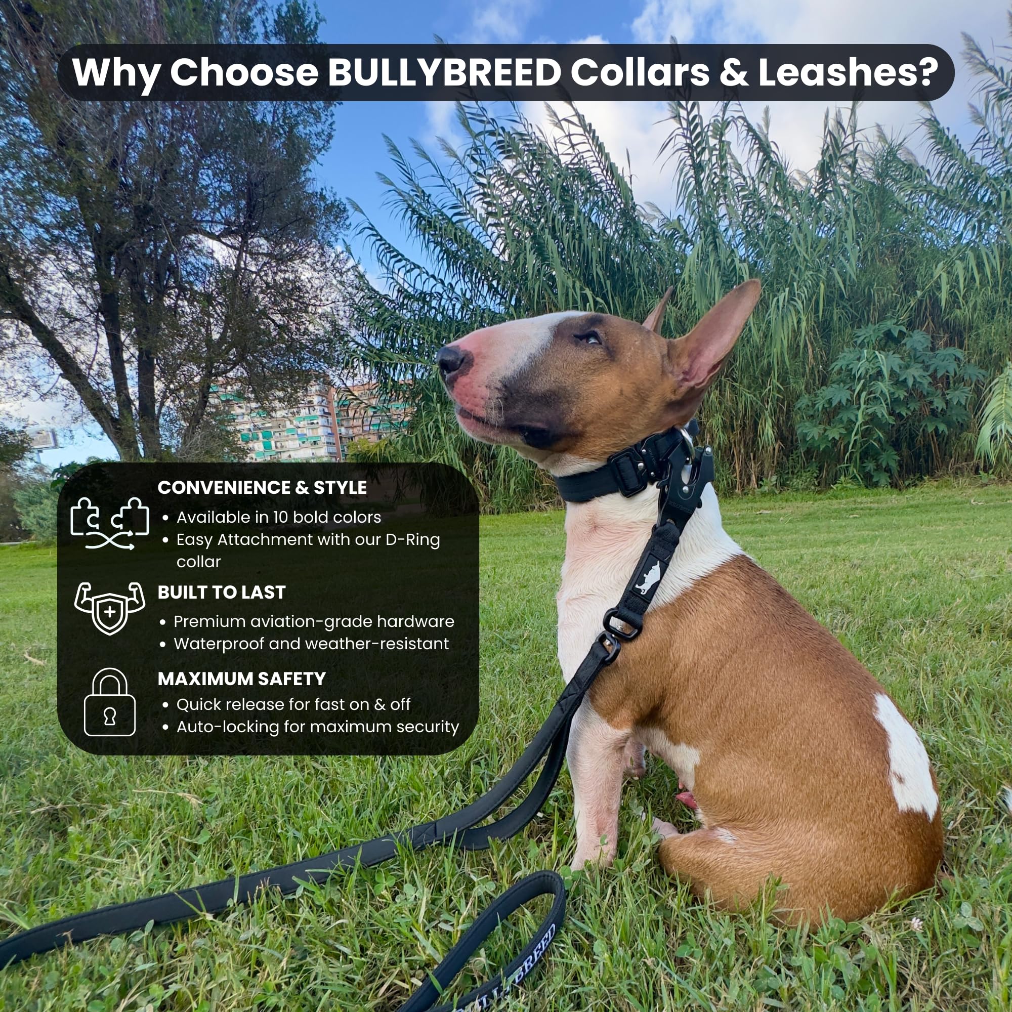 BULLYBREED collar táctico con interior acolchado para comodidad