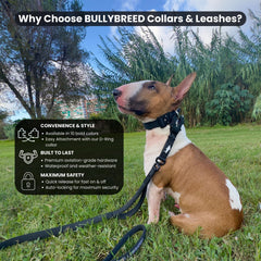 BULLYBREED collar táctico con interior acolchado para comodidad