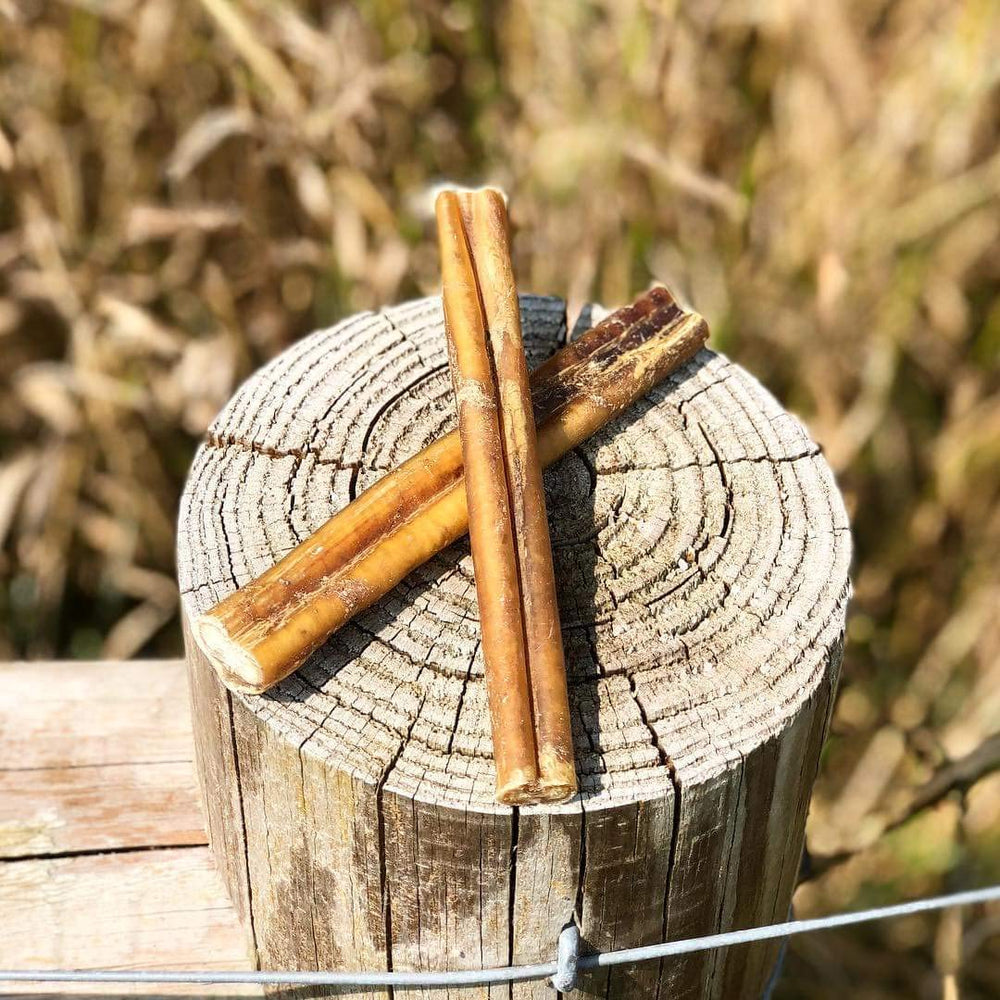 Bullysticks Organic Estándar 6 pulgadas, empaque práctico para perros.