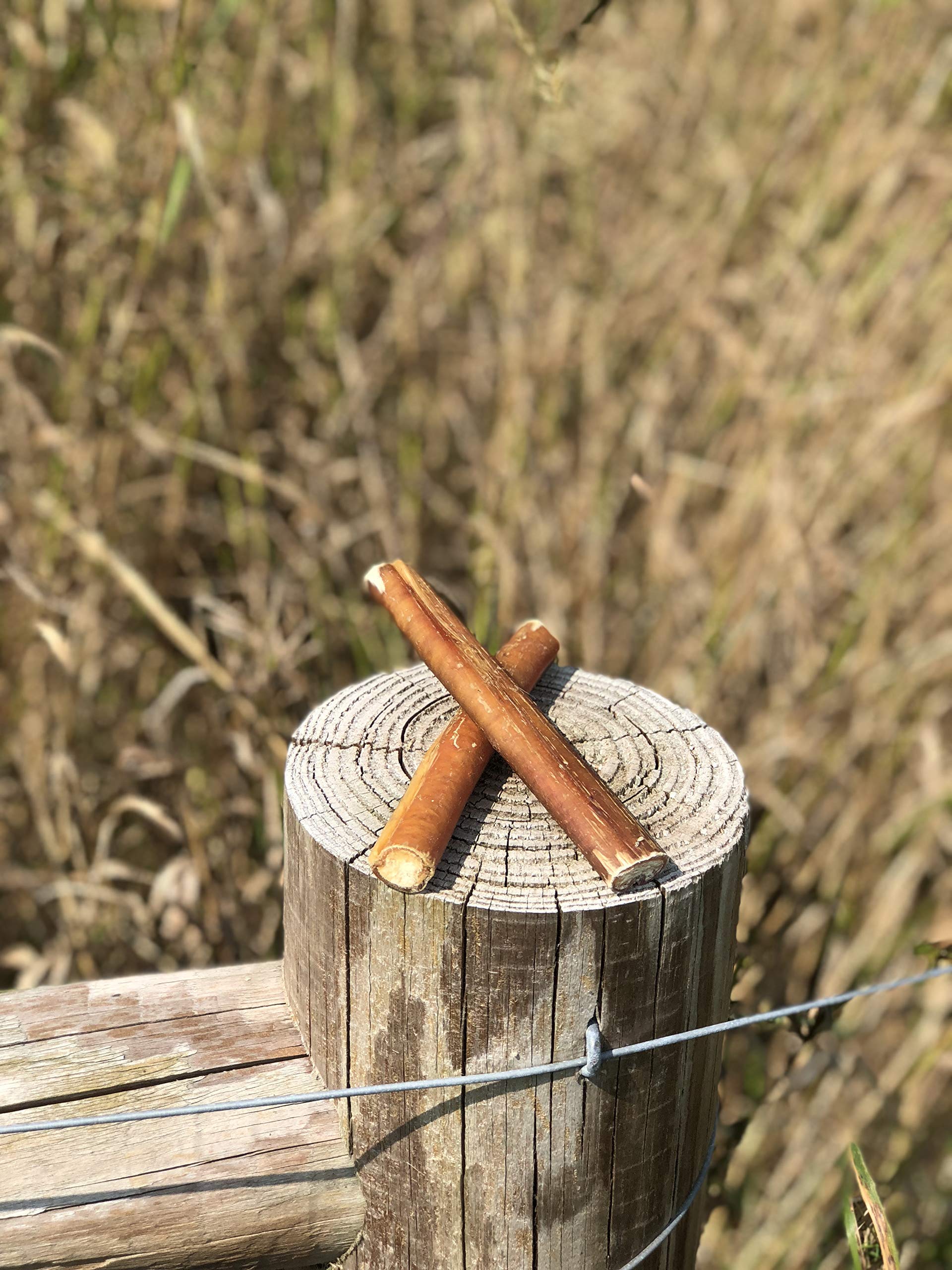 Bullysticks Organic Estándar 6 pulgadas, uso recomendado para sesiones de entrenamiento.